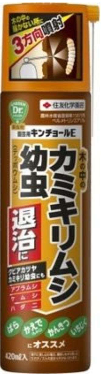 カミキリ幼虫退治
