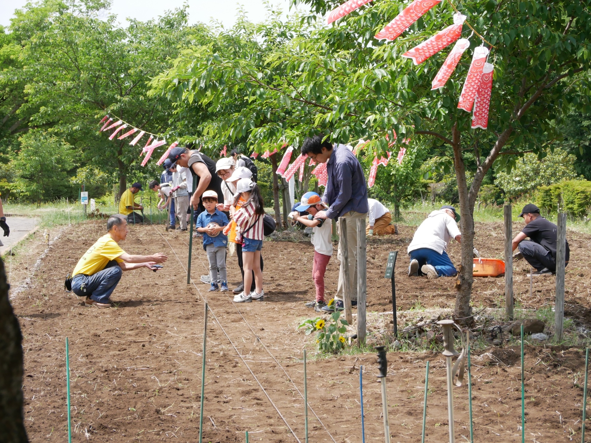 《まちの活性化委員会》 日本一元気で楽しいまち座間！