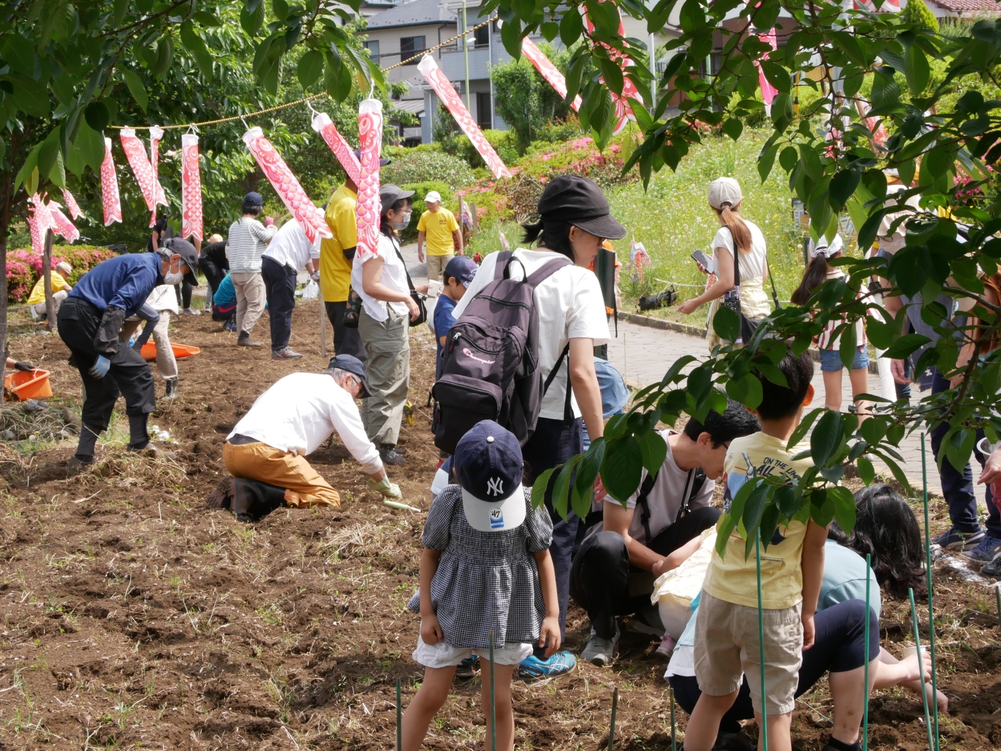 《まちの活性化委員会》 日本一元気で楽しいまち座間！