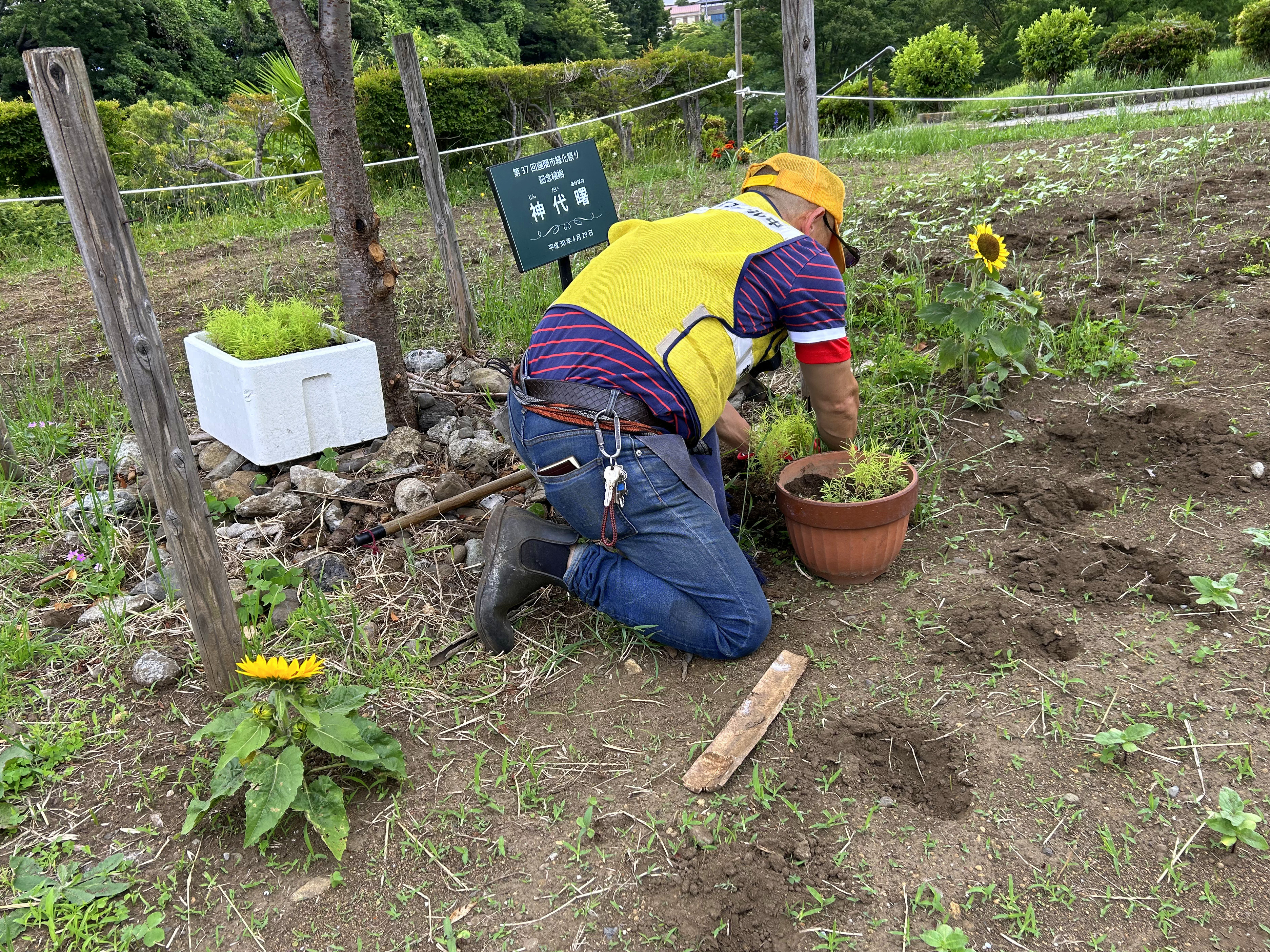 《まちの活性化委員会》 日本一元気で楽しいまち座間！