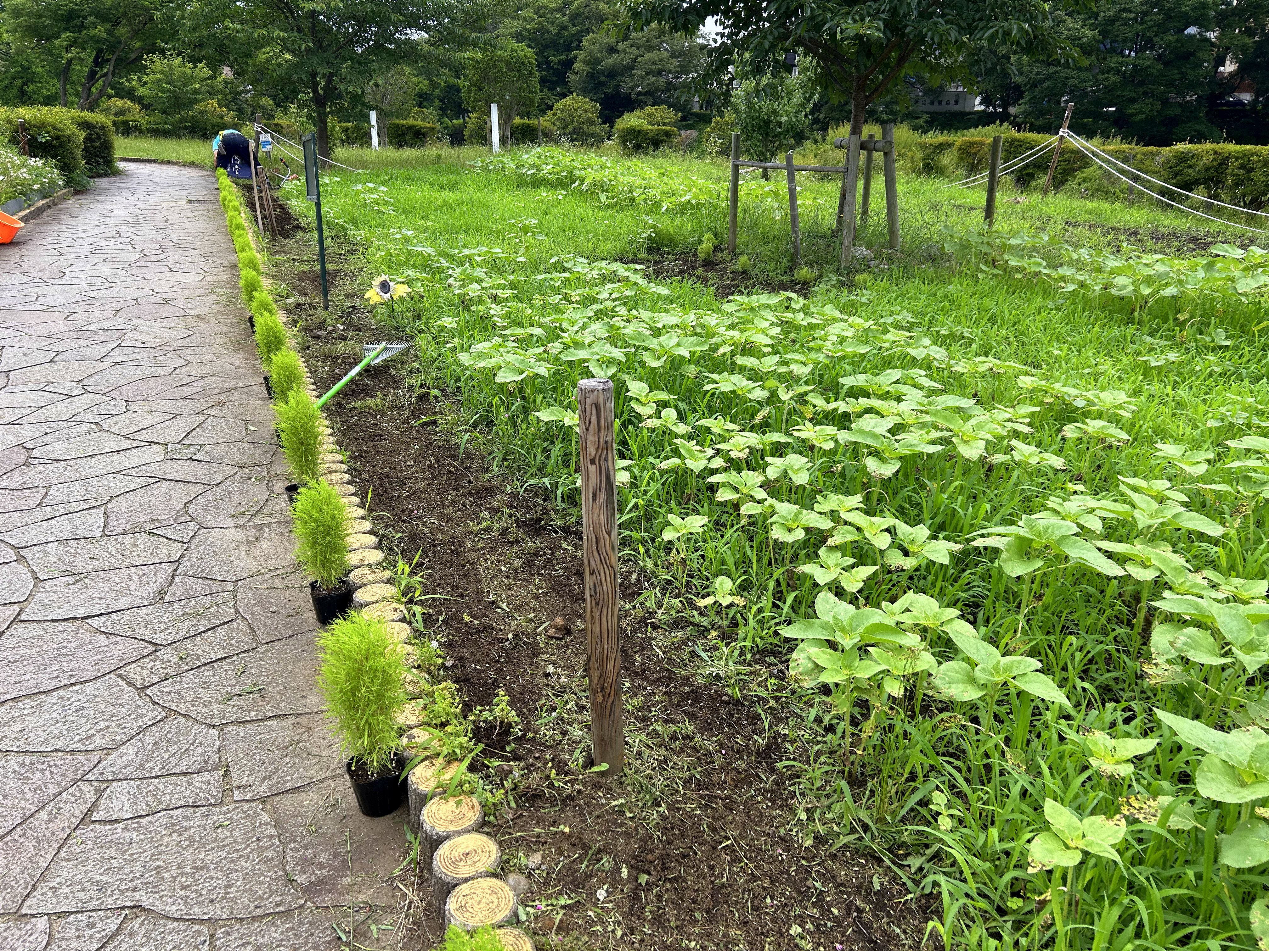 まちの活性化委員会