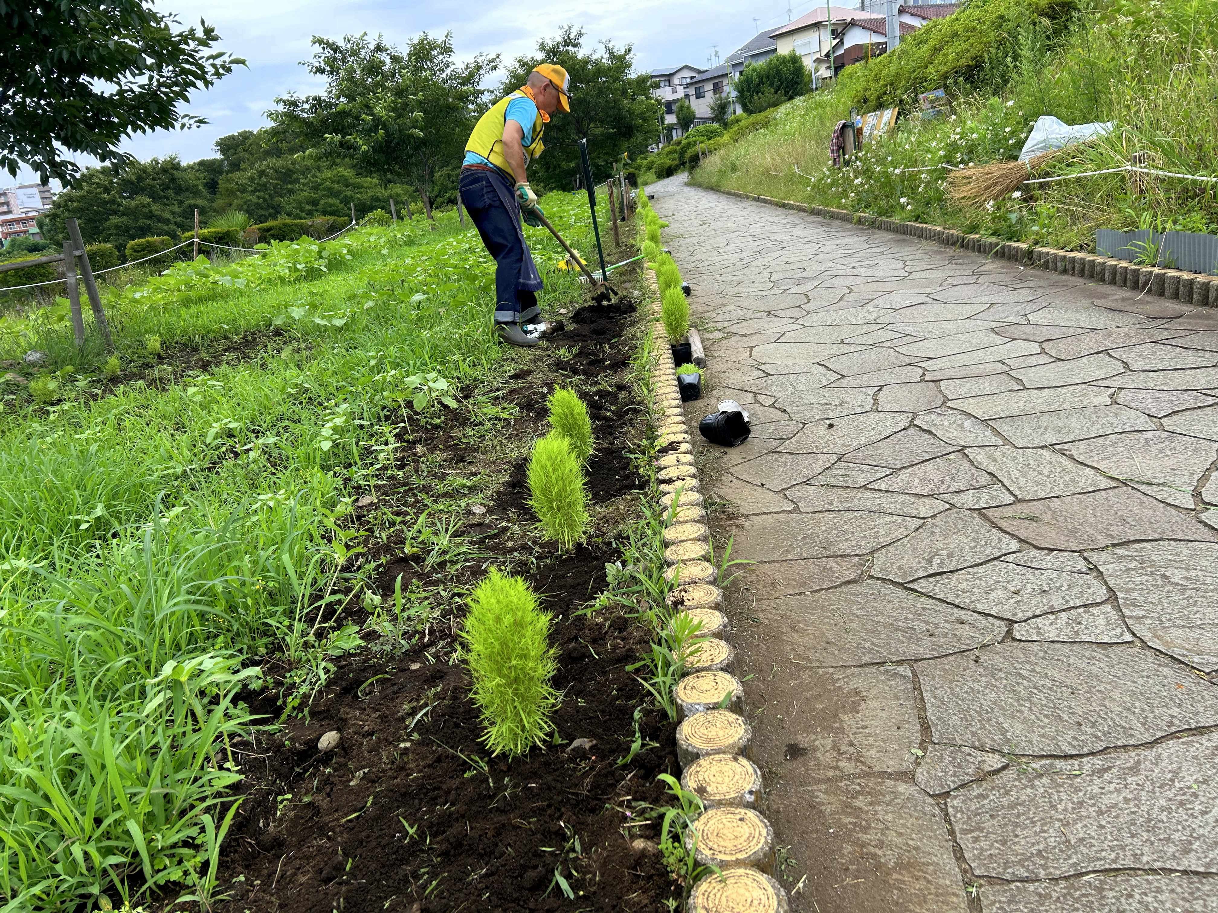 まちの活性化委員会