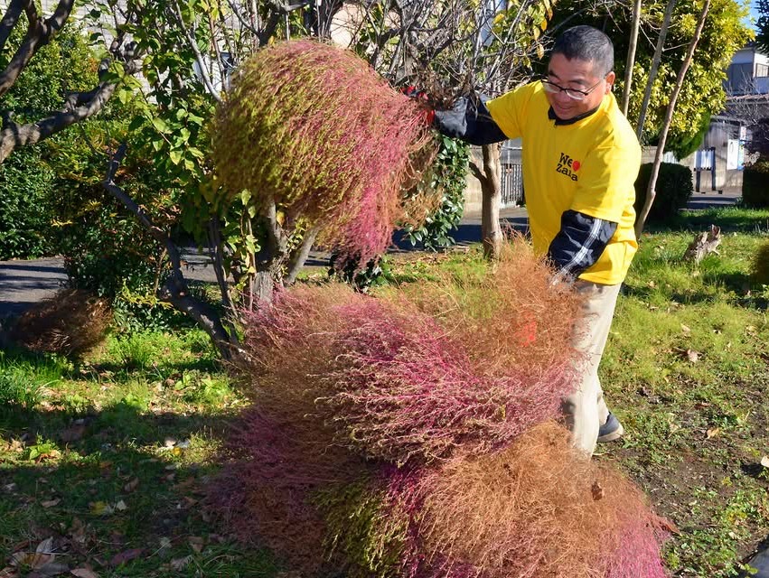 まちの活性化委員会