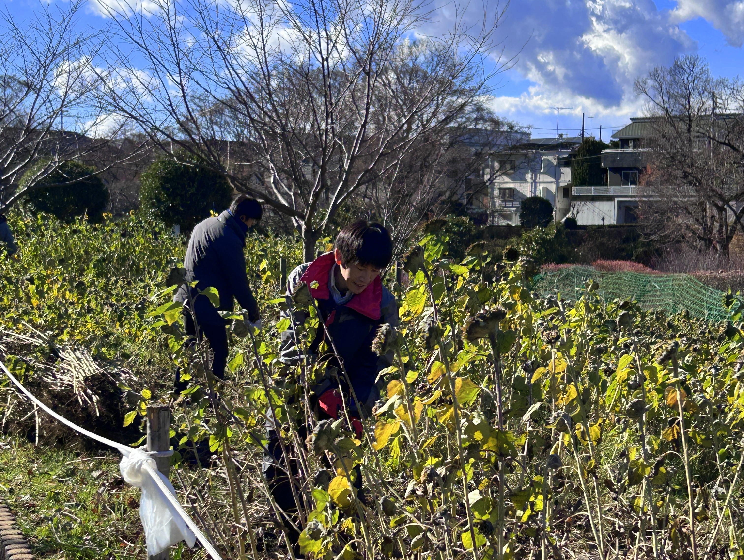 日本一元気で楽しいまち座間！ 笑顔あふれる座間を目指して! Smiles Zama Goals