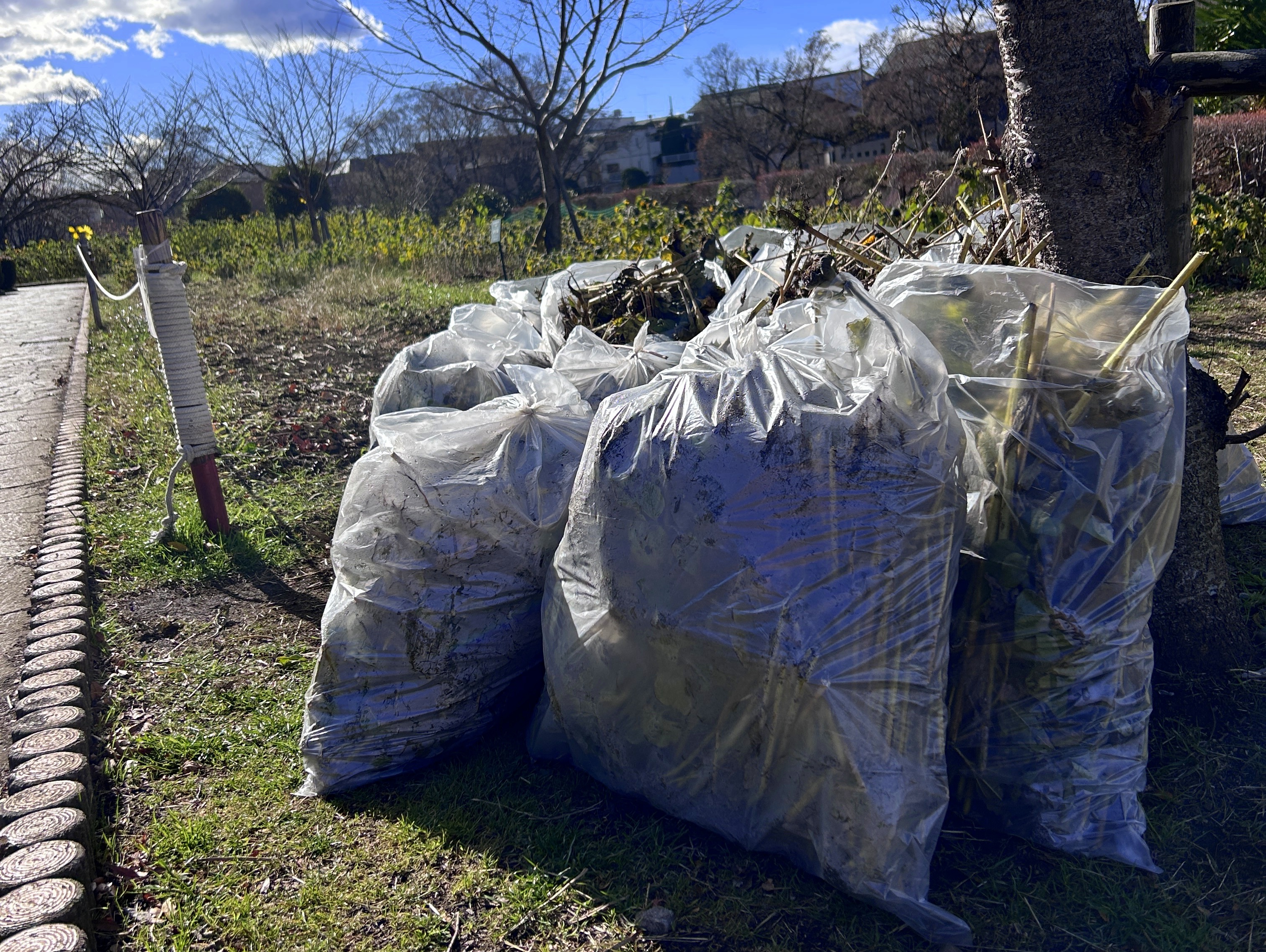 日本一元気で楽しいまち座間！ 笑顔あふれる座間を目指して! Smiles Zama Goals