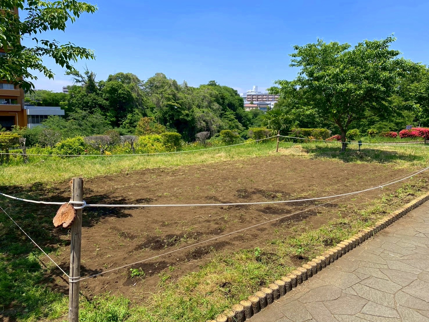 日本一元気で楽しいまち座間! 笑顔あふれる座間を目指して! Smiles Zama Goals