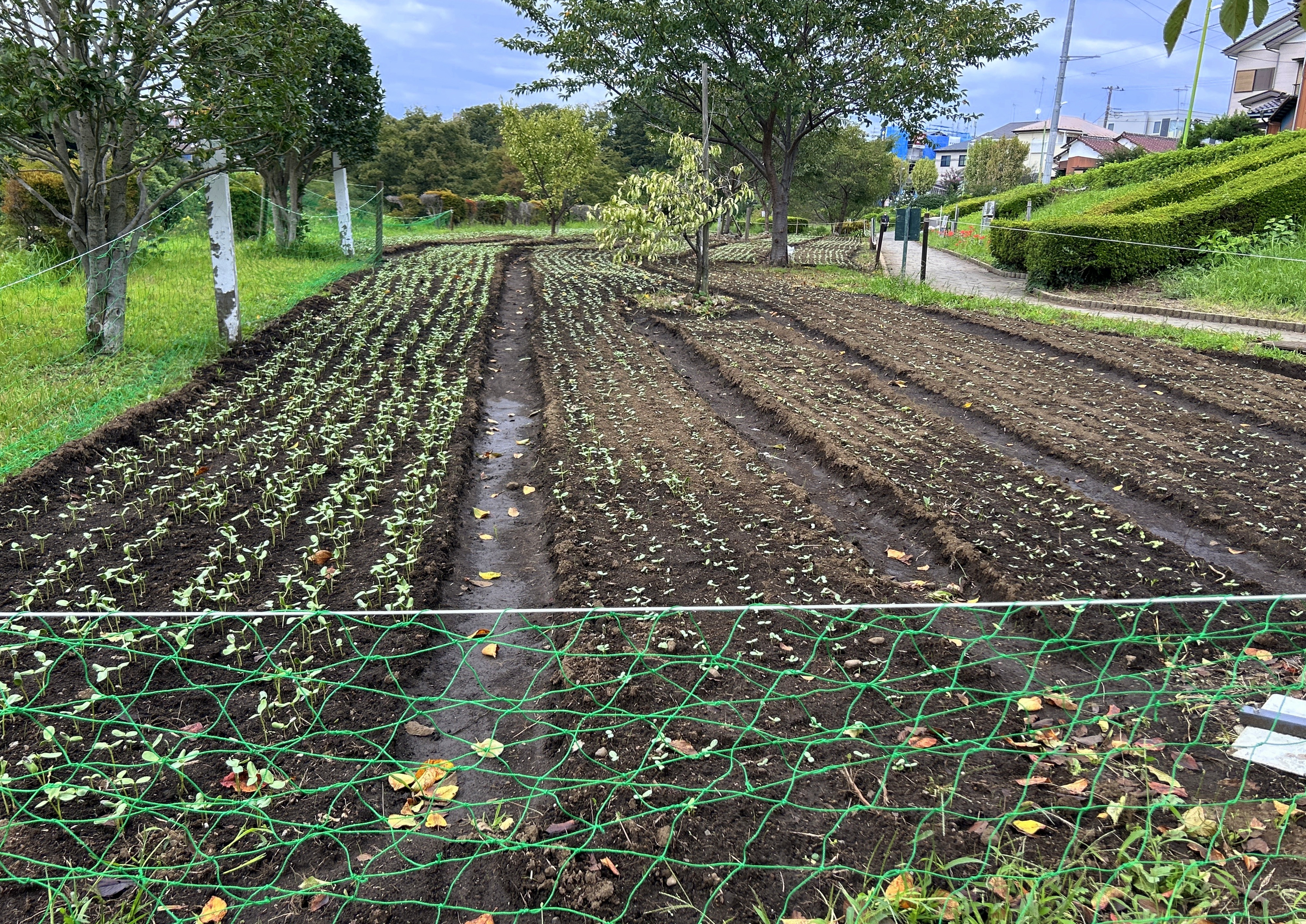 日本一元気で楽しいまち座間! 笑顔あふれる座間を目指して! Smiles Zama Goals