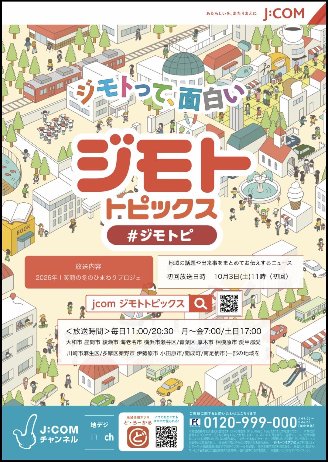 座間の冬のひまわり