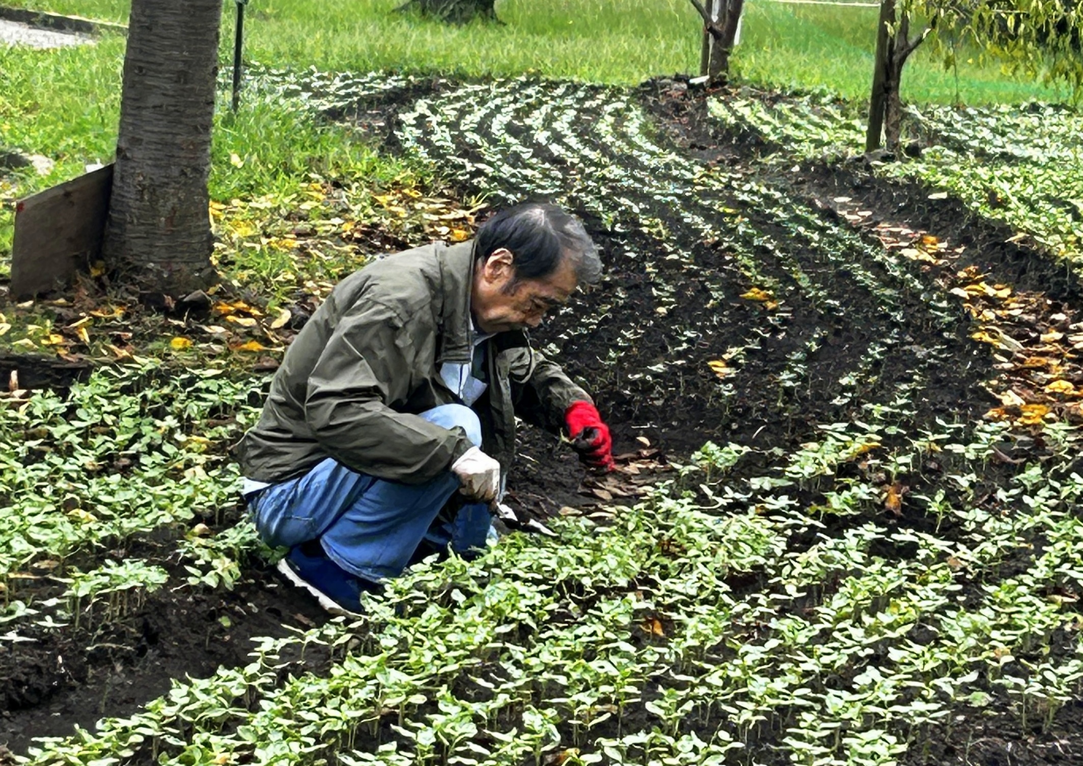 日本一元気で楽しいまち座間! 笑顔あふれる座間を目指して! Smiles Zama Goals