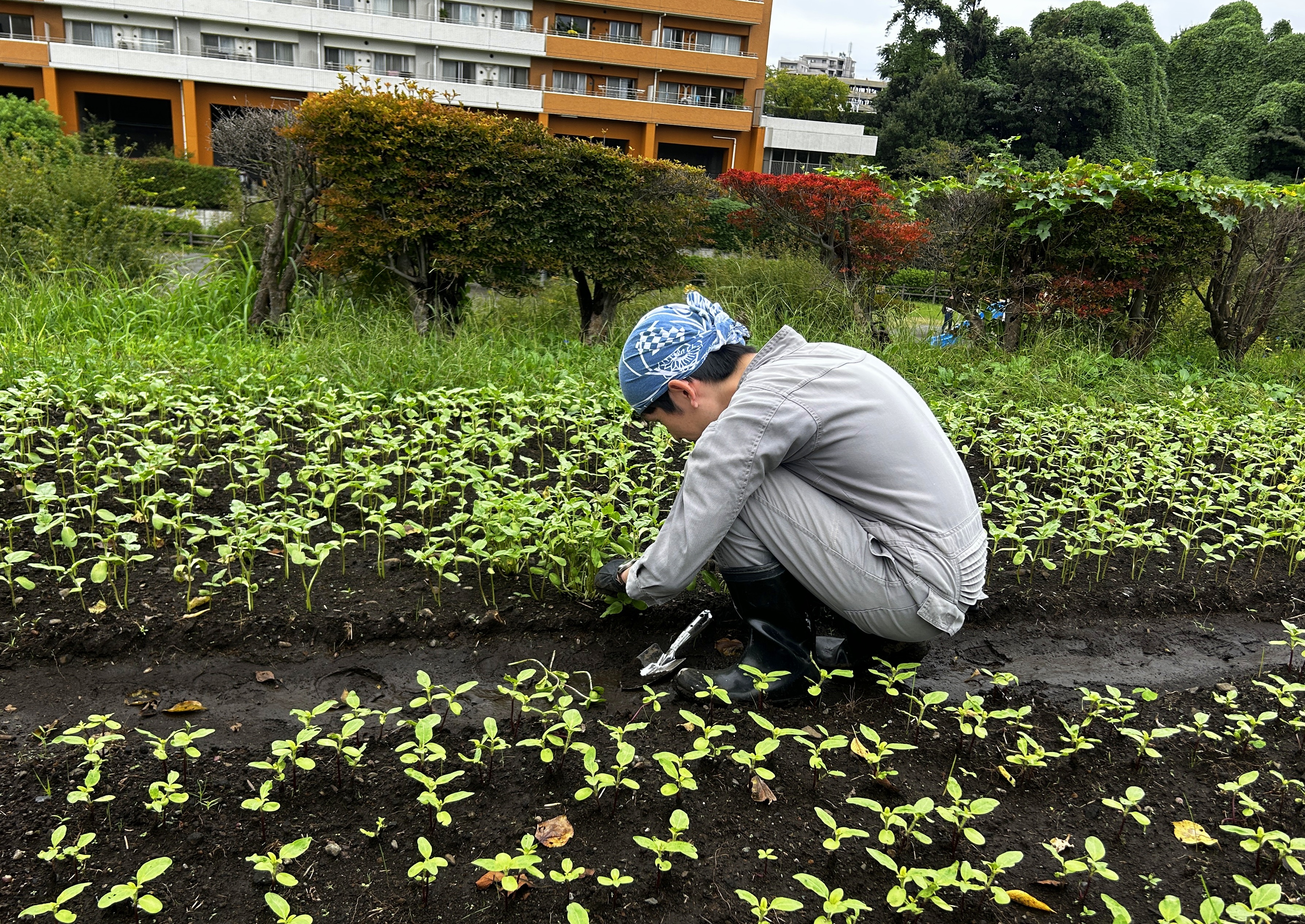 日本一元気で楽しいまち座間! 笑顔あふれる座間を目指して! Smiles Zama Goals