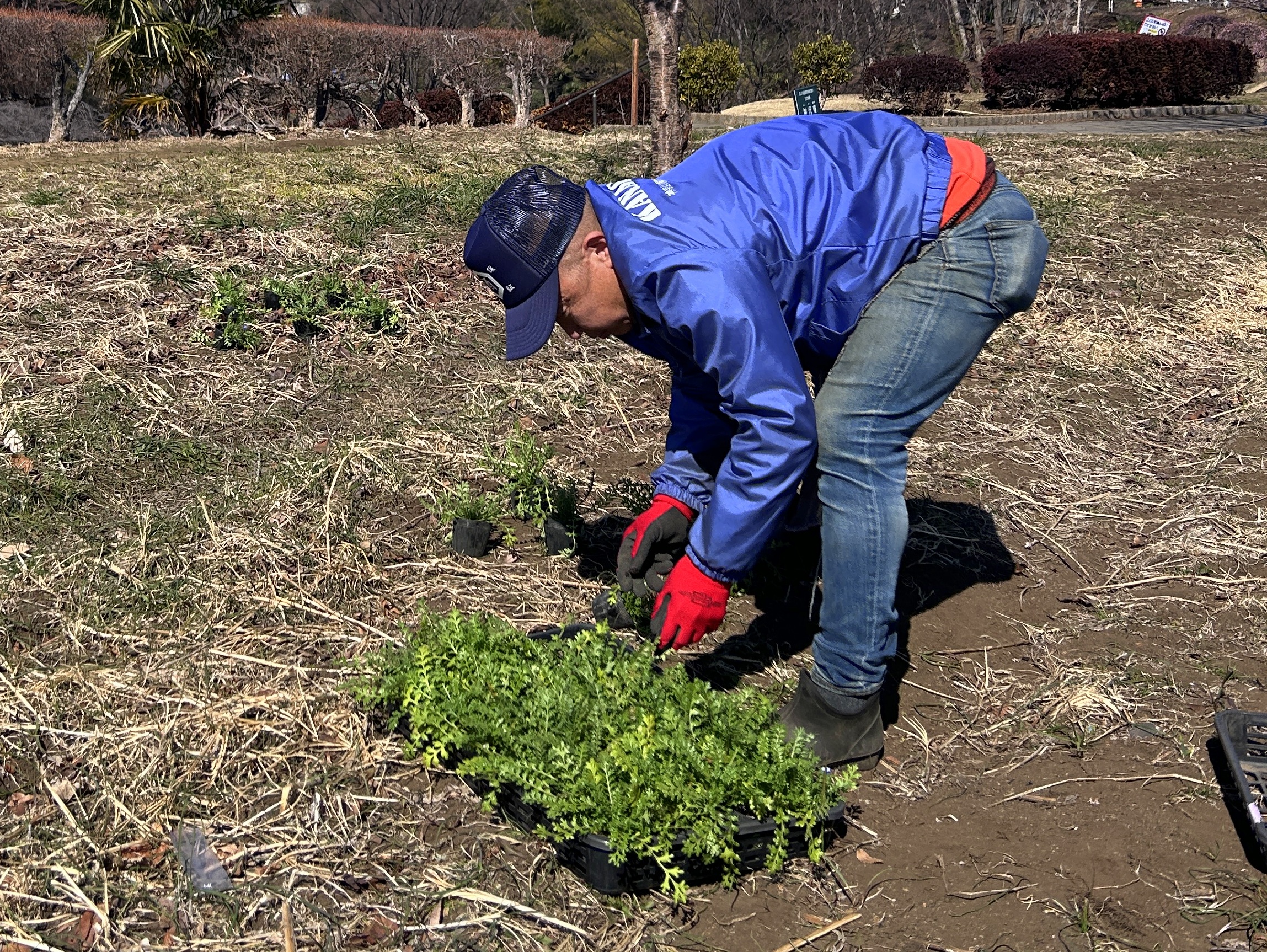 日本一元気で楽しいまち座間！ 笑顔あふれる座間を目指して! Smiles Zama Goals