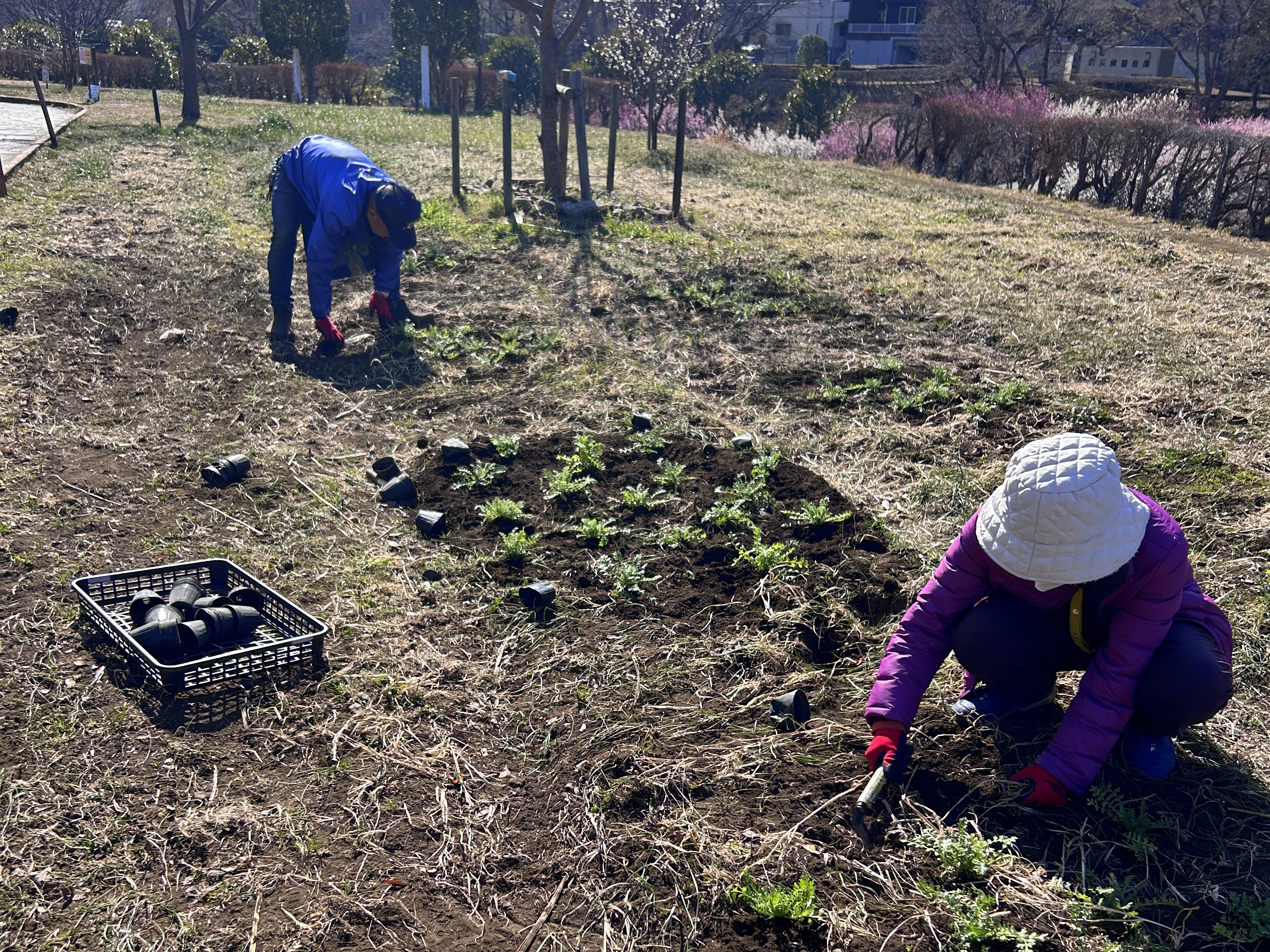 日本一元気で楽しいまち座間！ 笑顔あふれる座間を目指して! Smiles Zama Goals