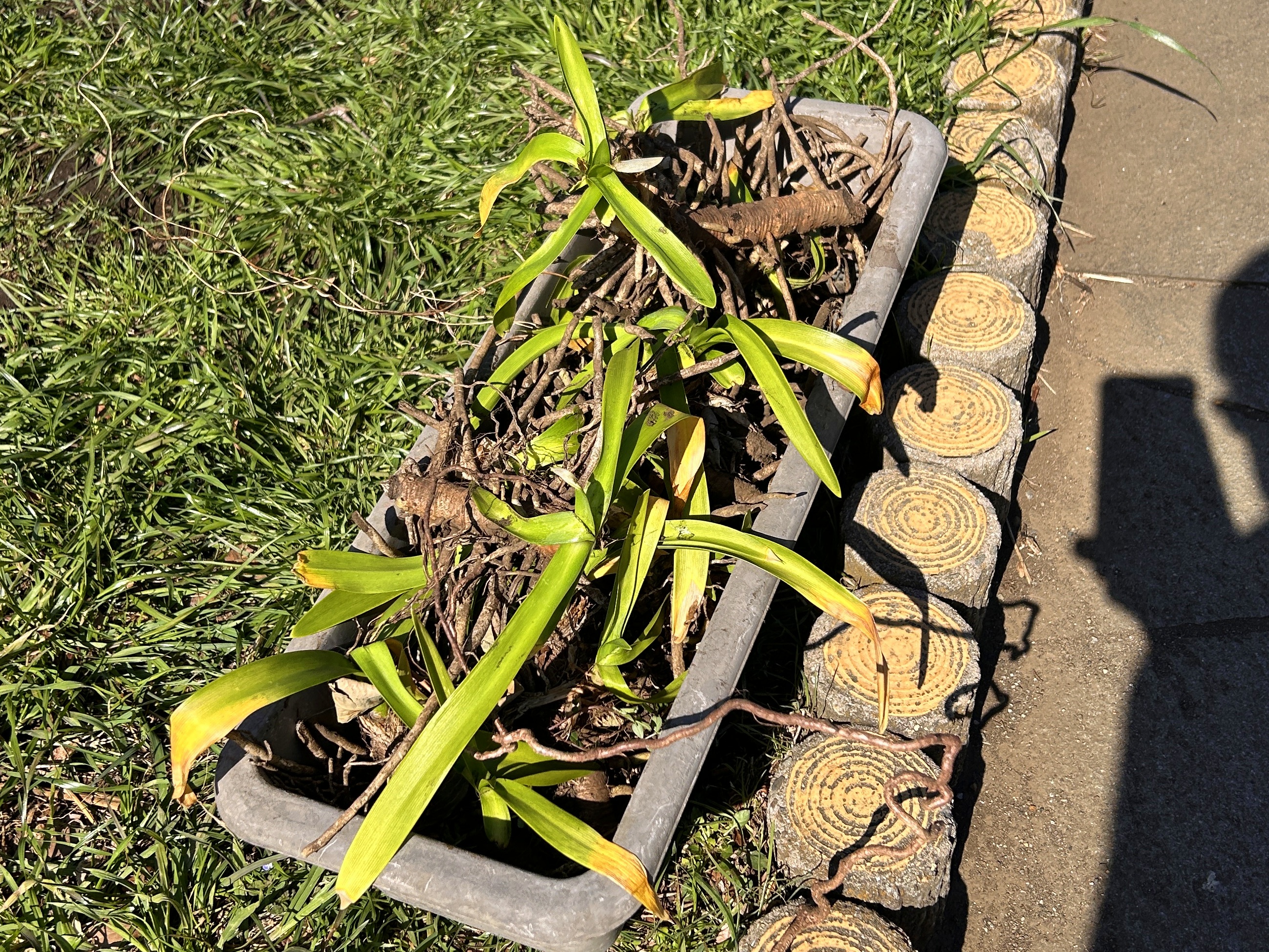 日本一元気で楽しいまち座間！ 笑顔あふれる座間を目指して! Smiles Zama Goals