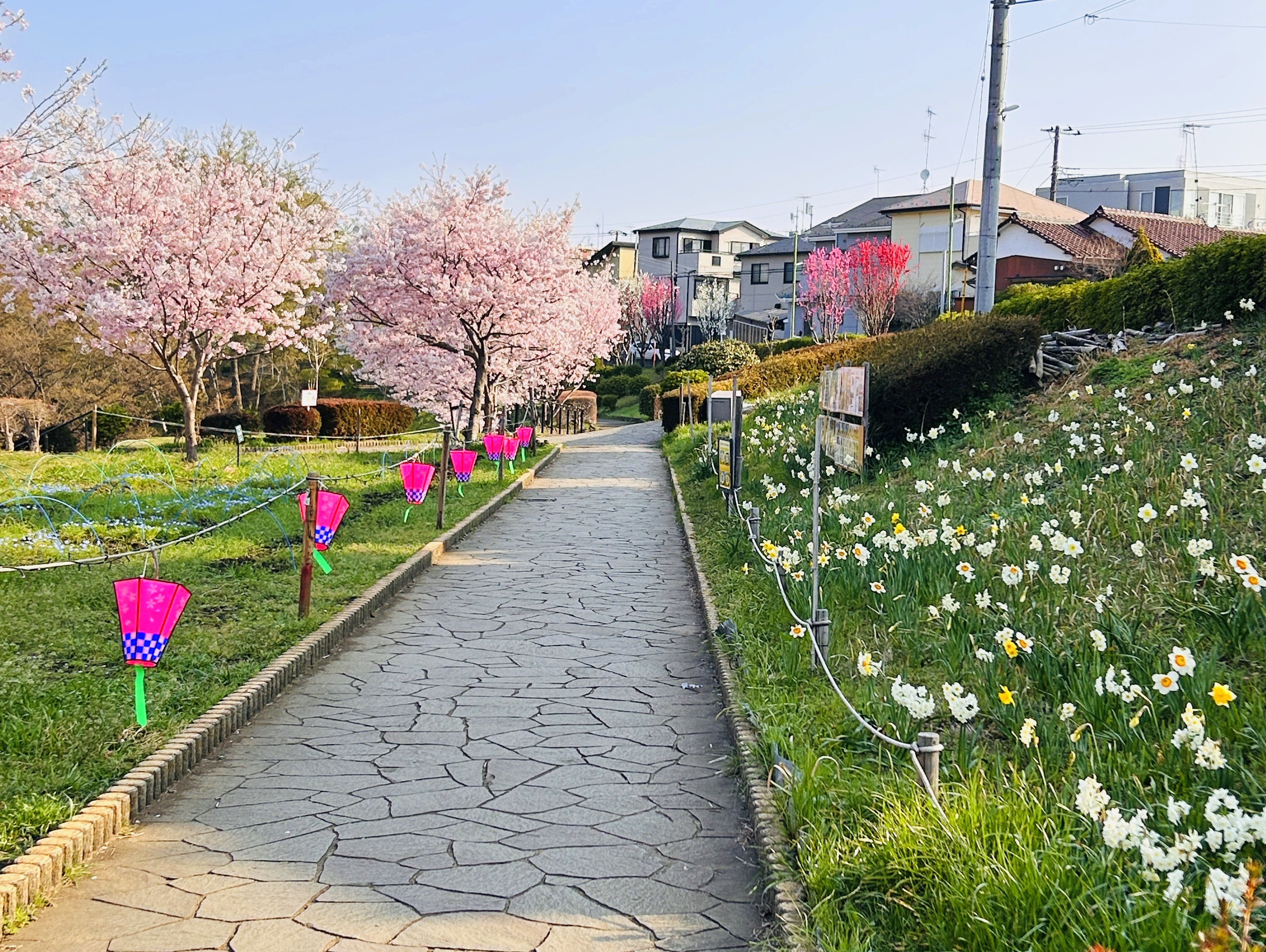 日本一元気で楽しいまち座間！ 笑顔あふれる座間を目指して! Smiles Zama Goals