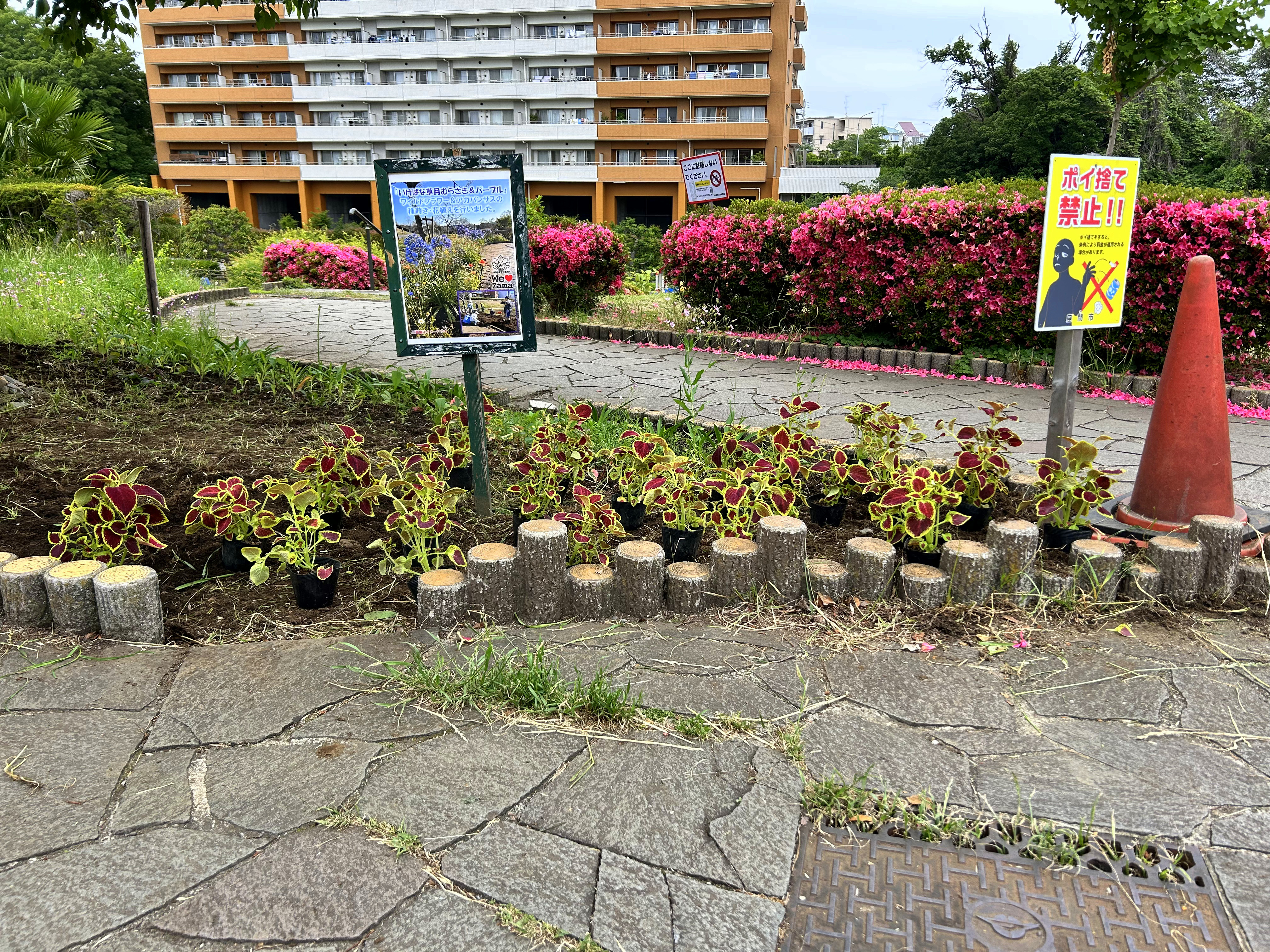 日本一元気で楽しいまち座間！ 笑顔あふれる座間を目指して! Smiles Zama Goals