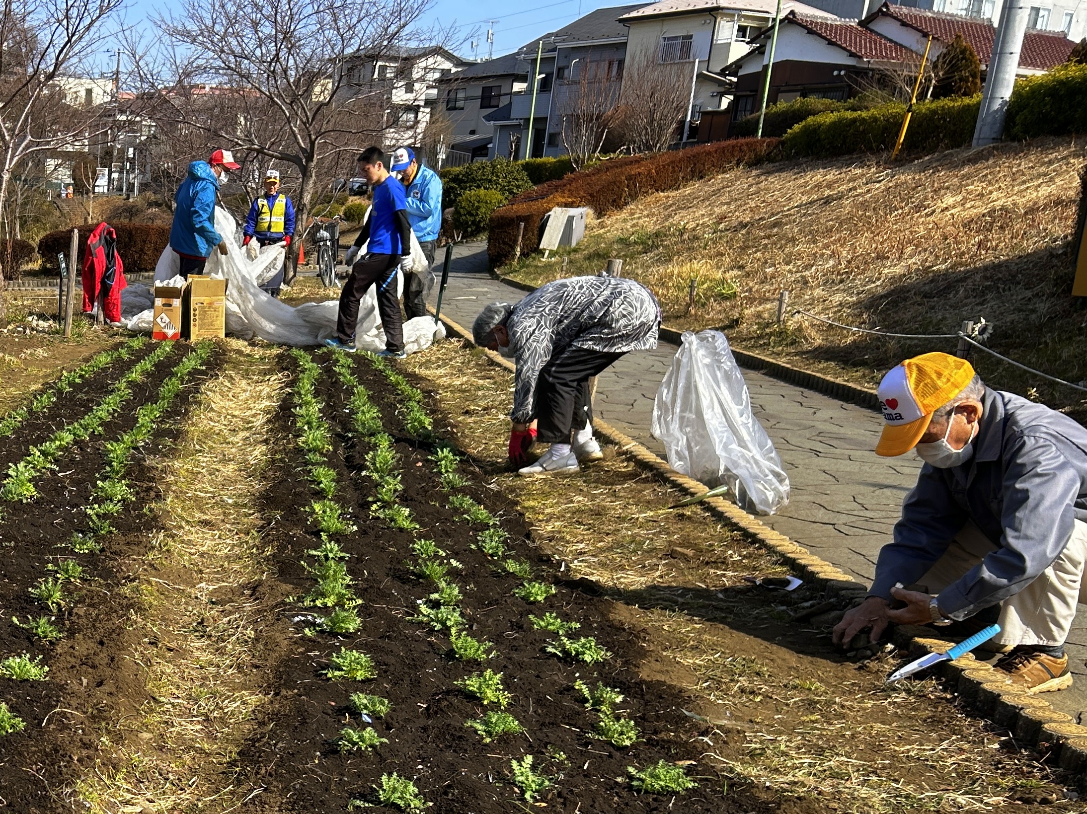 まちの活性化委員会