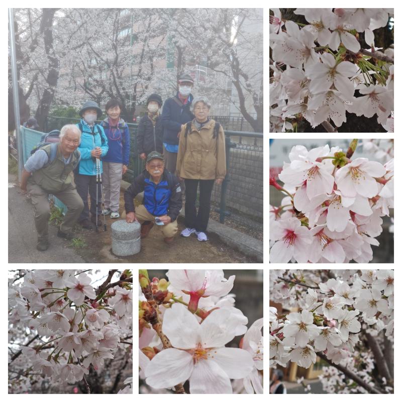 20260327_柿生-COLLAGE