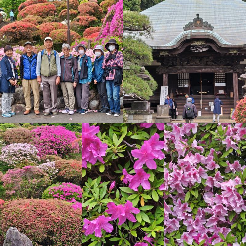 20260424_川崎等覚院_コラージュ
